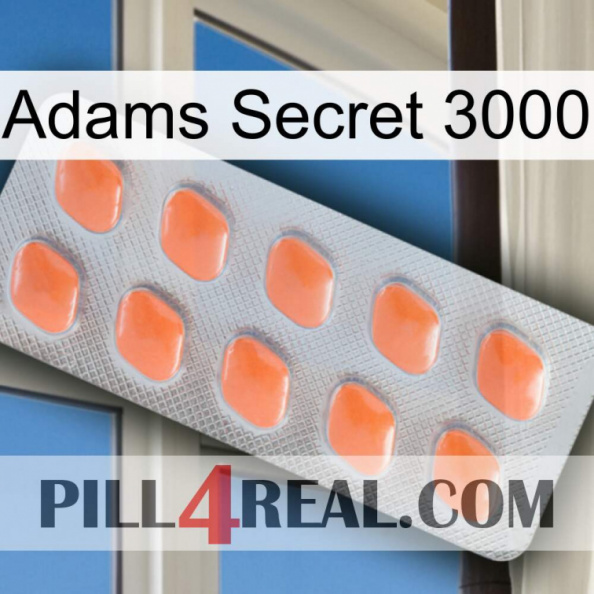 Adams Secret 3000 26.jpg